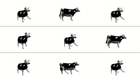 Polish Nude Search XVIDEOS