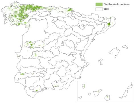 Regiones De España Con Más Castaños Ciudad De Aracena