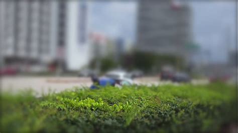 Thick Ass Black Bbw Search XVIDEOS