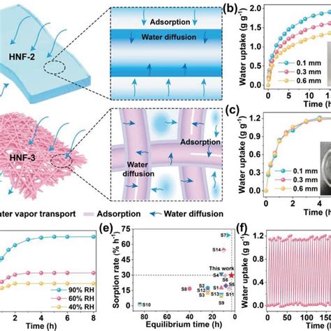 A Schematic Illustration Of Water Vapor Sorption Of Hnf And Hnf