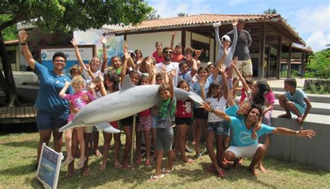 F Rias Ecol Gicas Voltam A Ser Realizadas Em Fernando De Noronha