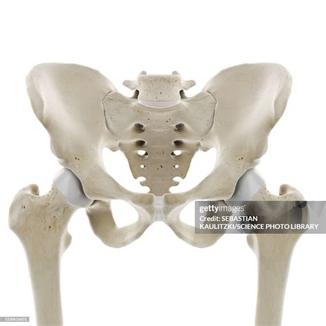 hip illustration high res vector graphic getty images