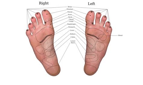 Main Pressure Points On Our Feet What They Mean Cloud