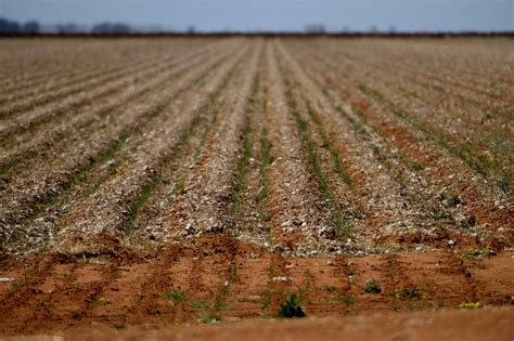 Australia offers farmers cheap loans in drought-ravaged areas - The ...