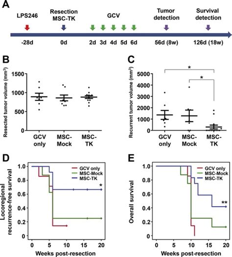 Therapeutic Strategies For Locally Recurrent And Metastatic De