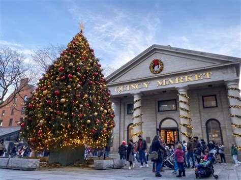 Christmas Lights In Boston Light Shows Displays Tree Lighting Hey