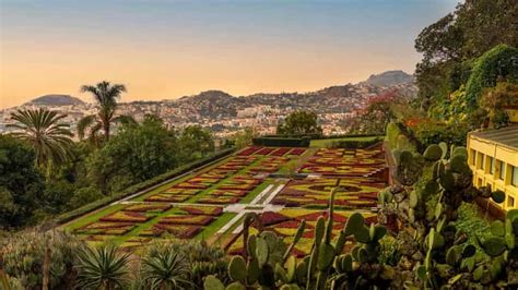 Funchal tour guidato della città vecchia in tuk tuk e giardini