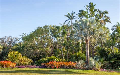 Exotic Escape to Fairchild Tropical Botanic Garden | Cultivated and Wild