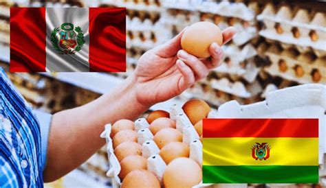 M S De Millones De Huevos Bolivianos Ingresan De Contrabando