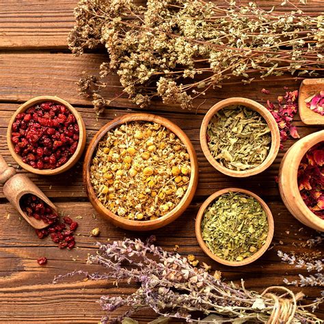 Herbs For Female Hormone Balance