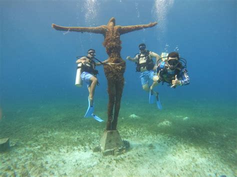 Chankanaab Park Cozumel Day Pass And Snorkeling Package GetYourGuide