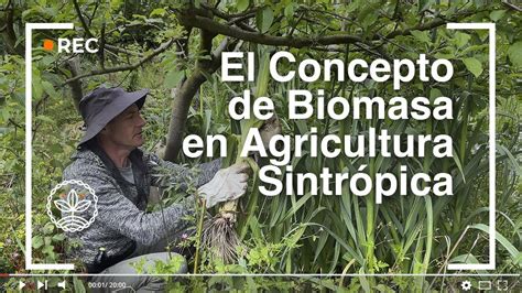 El Concepto De Biomasa En Agricultura Sintrópica Youtube