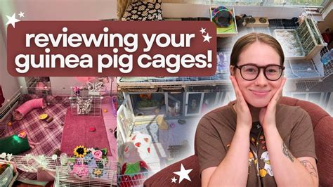 Reacting To My SUBSCRIBERS Guinea Pig Cages YouTube