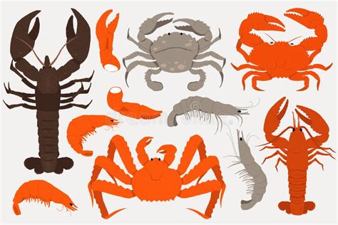 Crabs And Lobsters Seafood Cartoon Doodle Crustaceans Traditional