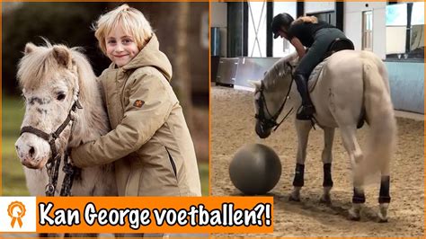 Voetballen Met Een Hengst En Shetlander Paardenpraattv Youtube