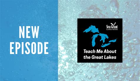 Podcast: How were the Great Lakes formed? - Illinois-Indiana Sea ...