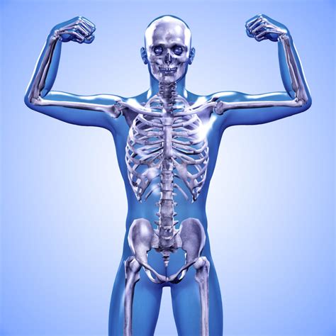 Best Foods For Healthy Bones