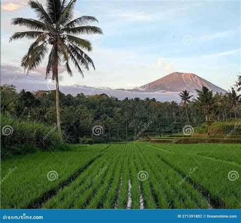 A View Of Natural Beauty In Aceh Indonesia Stock Photo Image Of