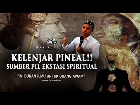 Kelenjar Pineal Sumber Pil Ekstasi Spiritual Mas Tunjung Youtube