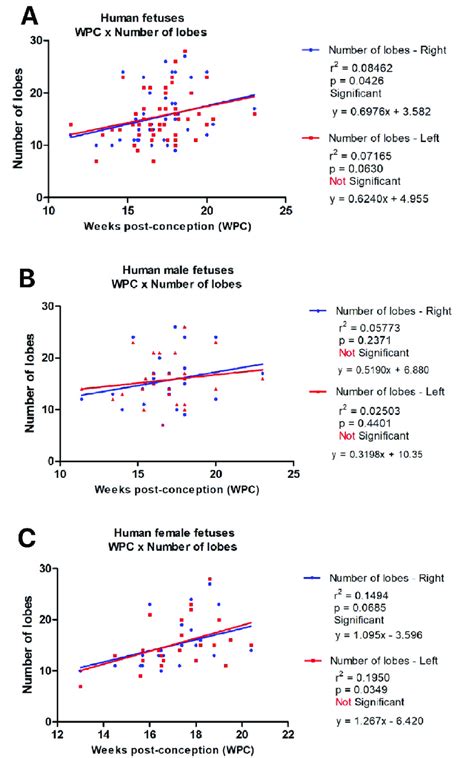 Linear Regression Analysis Comparing The Correlation Of The Renal