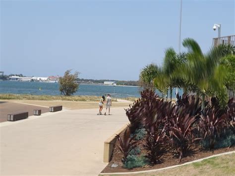 Broadwater Parklands Southport 2020 What To Know Before You Go