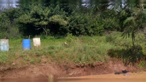 Tingüindín hallan 2 tambos con los cadáveres desmembrados de 2 hombres