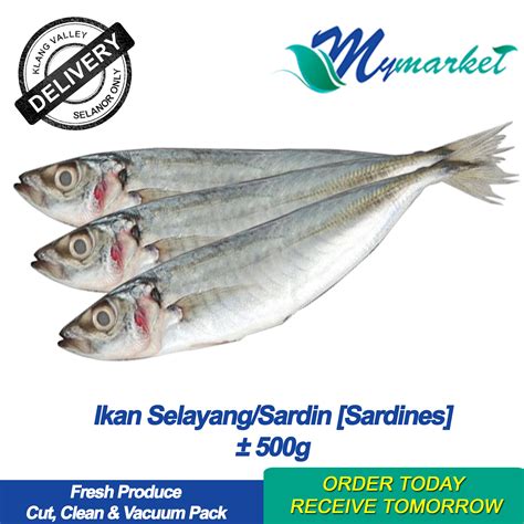 Ikan Selayang Sardine 500gm Lazada