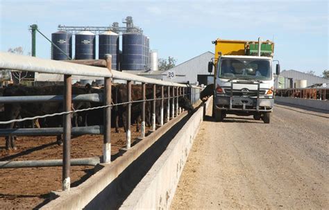 Feedlot Grainfed Generic 3 Beef Central