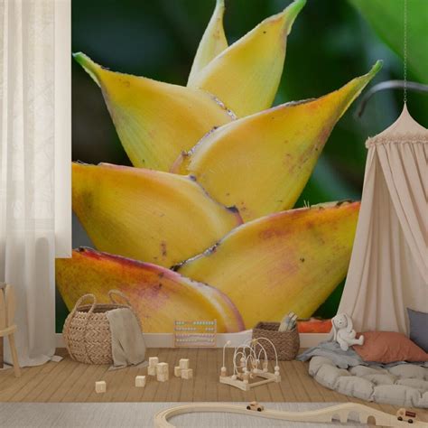 Awesome Rare Rainforest Flowers Wallpaper, Living Room Floral Wallpaper ...