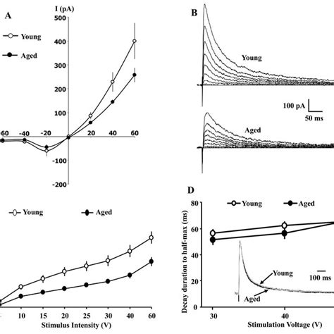 Intrinsic properties of CA1 hippocampal pyramidal neurons. | Download ... 