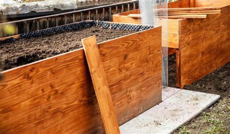 These Are The Best Types Of Wood For Raised Garden Beds