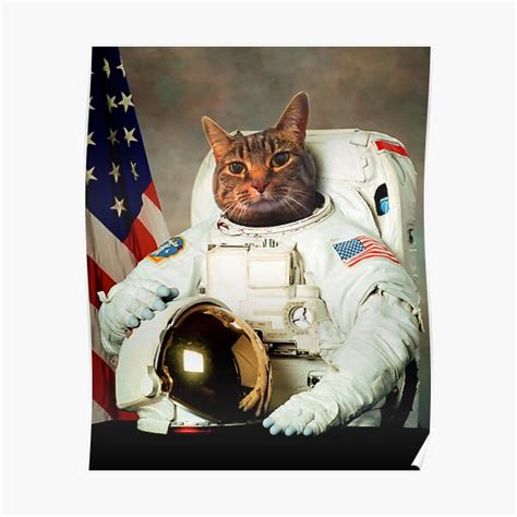 Cat astronaut Blank Template - Imgflip