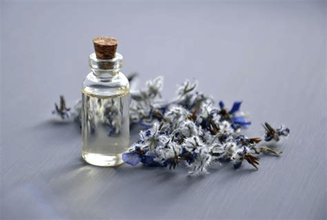 Best Lavender Perfume Guide For Men And Women That Last - Scent Chasers