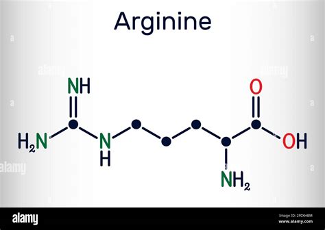 Arginine L Arginine Arg R Essential Amino Acid Molecule It Is Used