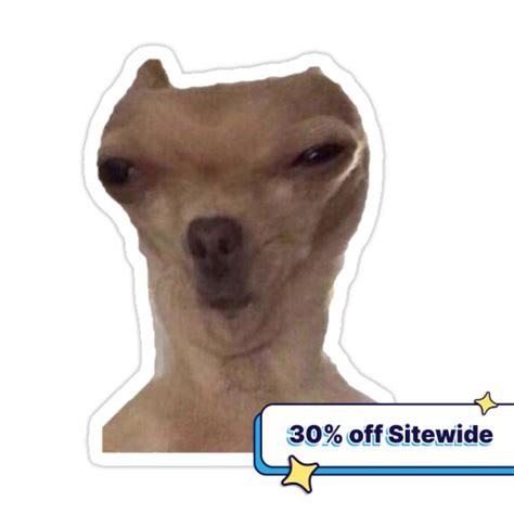 Dog Meme Sticker For Sale By Peachysage Dog Memes Cat Memes Meme