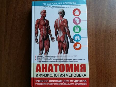 Книга: Анатомия и физиология человека. Учебное пособие - Самусев ...