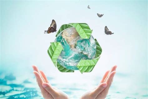 Sustainable Practices In Waste Management Importance And Solutions