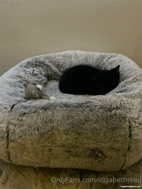 Elizabethreed Nude OnlyFans Leaks Fappening FappeningBook