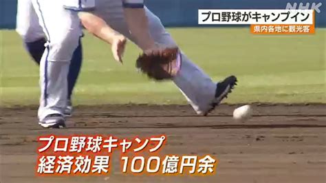 「プロ野球」nhk記事・最新情報を詳細にお届け Nhk