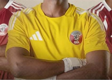 Qatar Gk Home Kit