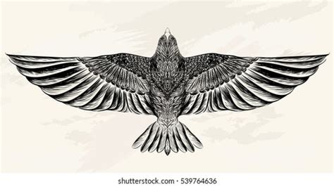 Share 76+ small falcon tattoo best - in.cdgdbentre