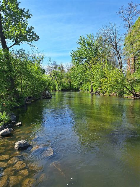 Water Quality Testing Data For Dupage River At Riverwalk South Covered