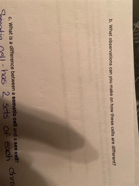 Solved Somatic Cells Sex Cells Sperm Cell Neuron Red Blood Chegg