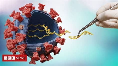 Variante Delta as 5 mutações que tornam coronavírus mais contagioso e