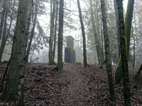 Hiking Bullitt Gorge Trail In Squak Mountain State Park Pacific North