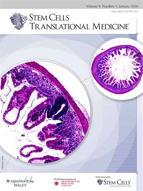 Stem Cells Translational Medicine Vol No