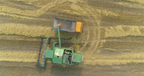 Combine Harvester Harvests Wheat Field Aerial View Harvesting From A