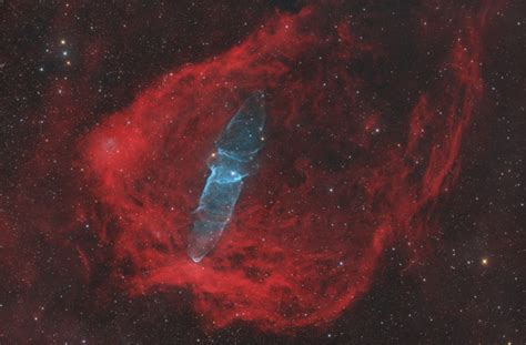 Learn About The Flying Bat And Squid Nebula Ars Technica