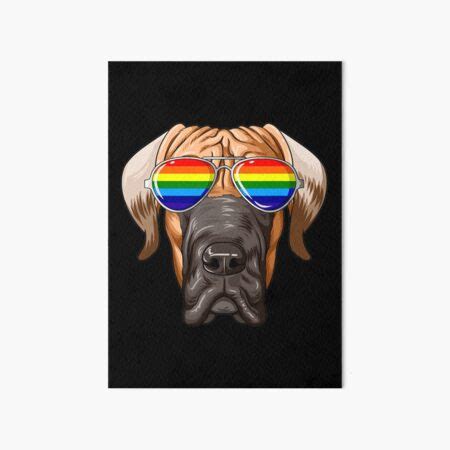 Great Dane Gay Pride Flag Lgbt Rainbow Sunglasses Great Dane Art Board Print By MadeleineAW