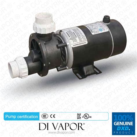 DXD 1A 0 75kW 1 0HP Water Pump For Hot Tub Spa Whirlpool Bath